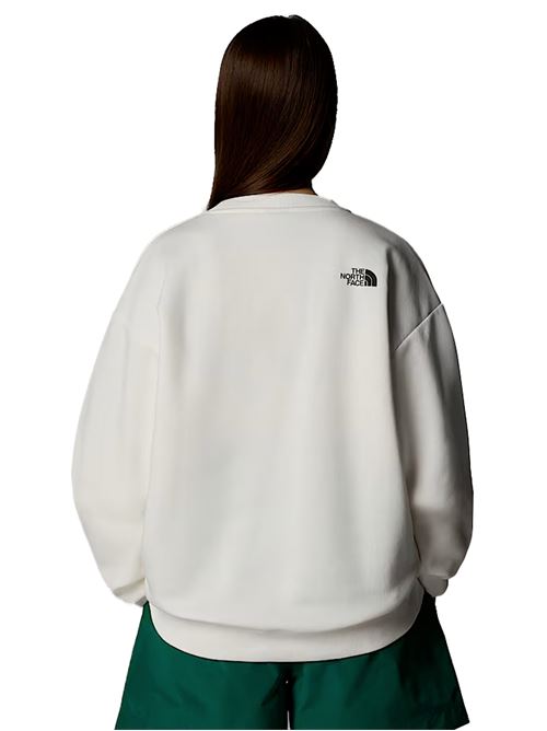 THE NORTH FACE Varsity Graphic Hoodie THE NORTH FACE | NF0A89CRQLI1